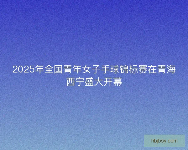 2025年全国青年女子手球锦标赛在青海西宁盛大开幕 2025年全国青年女子手球锦标赛在青海西宁盛大开幕