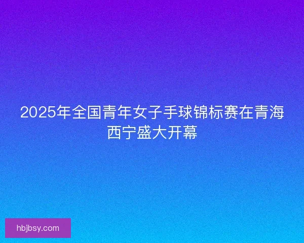 2025年全国青年女子手球锦标赛在青海西宁盛大开幕 2025年全国青年女子手球锦标赛在青海西宁盛大开幕