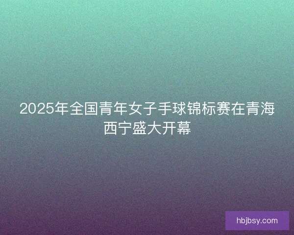 2025年全国青年女子手球锦标赛在青海西宁盛大开幕 2025年全国青年女子手球锦标赛在青海西宁盛大开幕